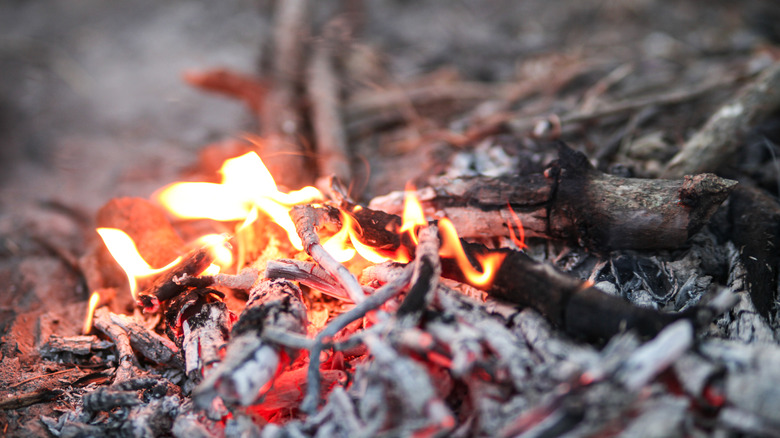 Fire burning on the ground