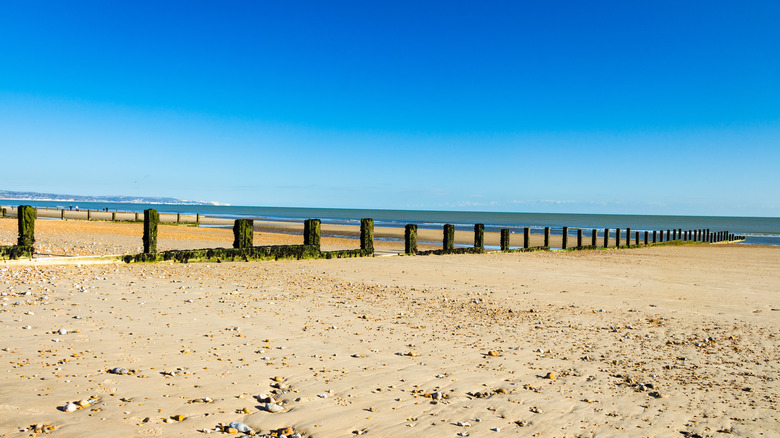 St. Mary's Bay beach
