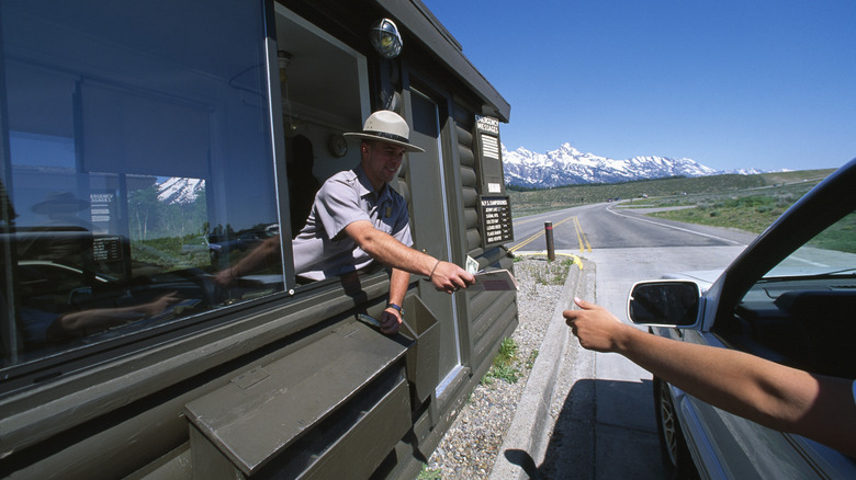 A park ranger handing someone in a car a park ticket