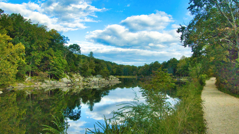 A forested riverside walking path in Maryland