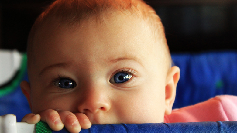 Baby in pack and play