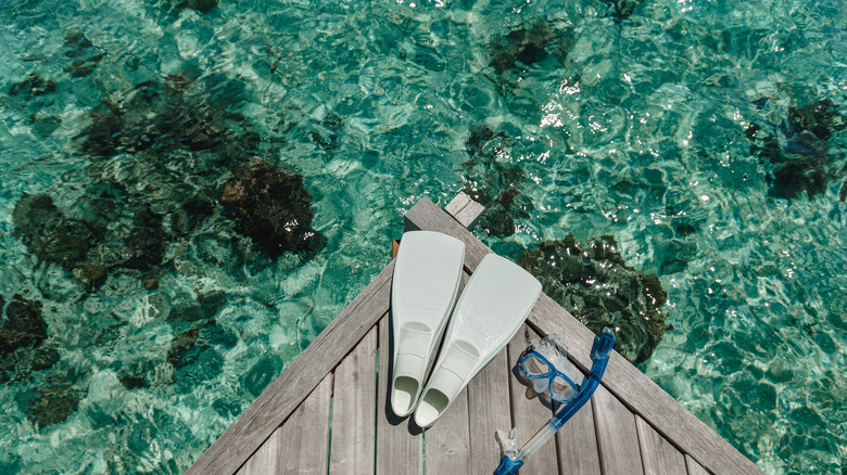 Snorkeling gear in tropical destination