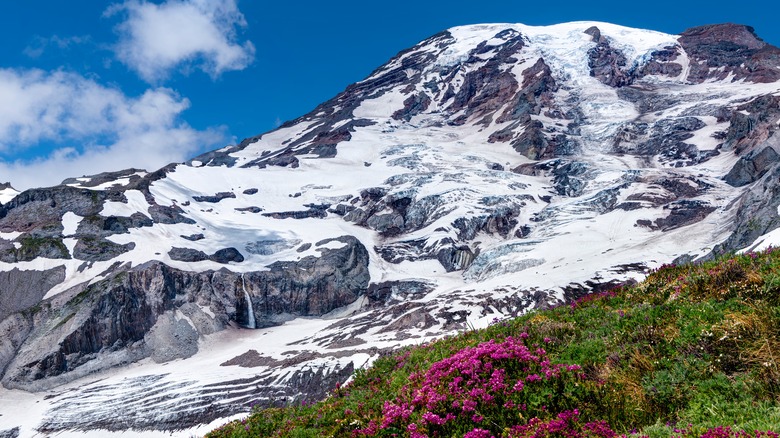 Snow atop Mount Rainier