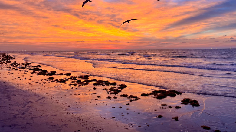 Sunrise on Port Aransas Beach