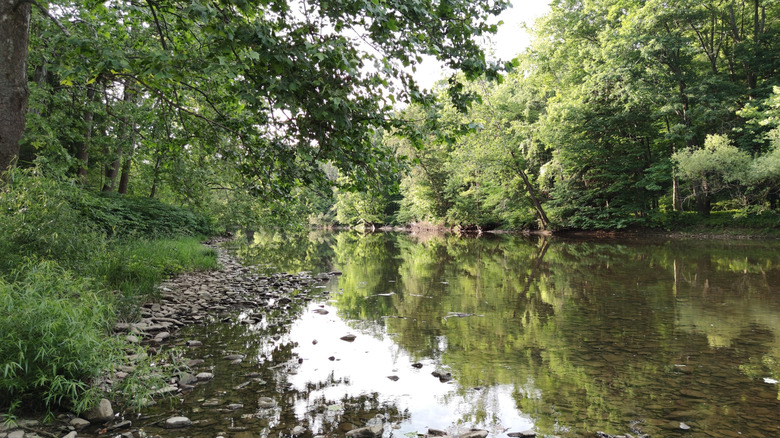 A view from the Brokenstraw Bike/Hike Trail along Brokenstraw Creek in Youngsville, Pennsylvania