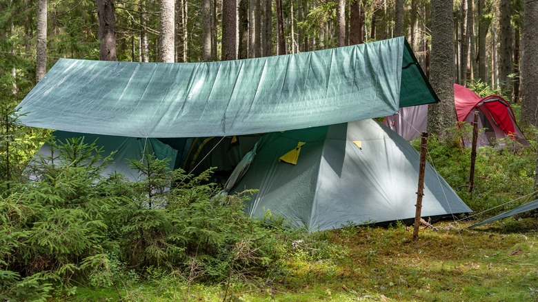 Camping canopy in woods