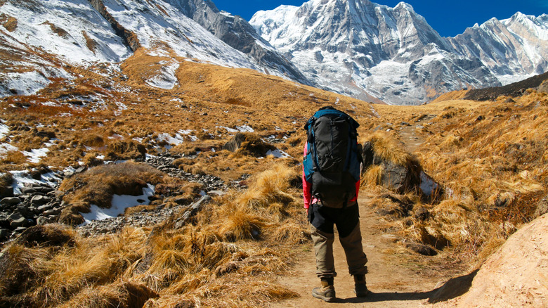 A trekking guide looks ahead at a view of the Himalayas on the Annapurna Base Camp trail in Nepal