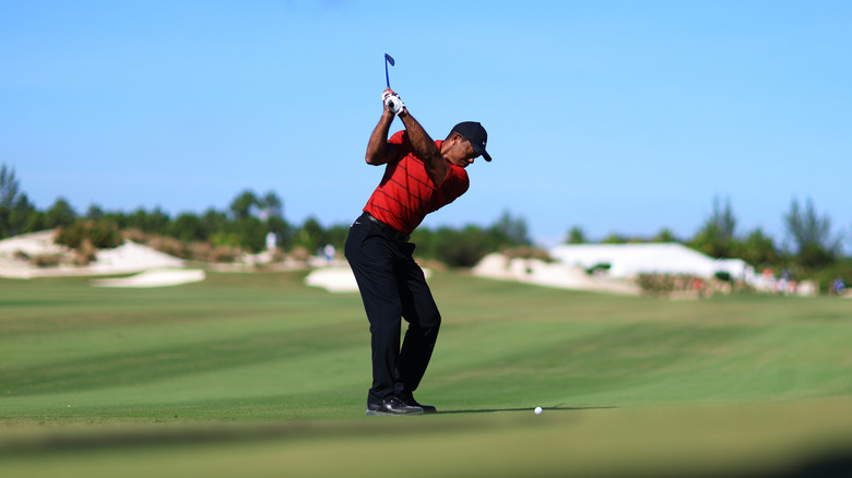 Tiger Woods playing on the golf course at Albany Resort