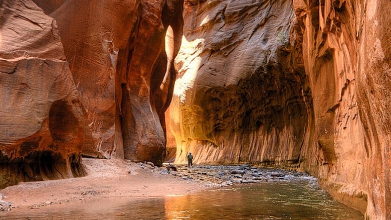 A hiker wading through water on the Zion Narrows Trail