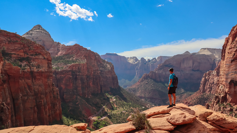 A man stops and soaks in the red mountains and blue sky of Zion National Park in Utah
