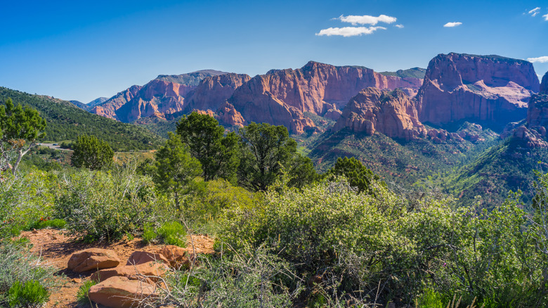 Red mountains, green vegetation, and blue sky at Timber Creek in Zion's Kolob Canyons