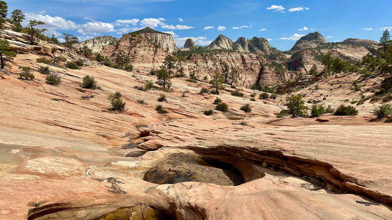 Circular pools along Zion's Many Pools Trail sit in the midst of red canyon rocks with mountains and a blue sky in the distance