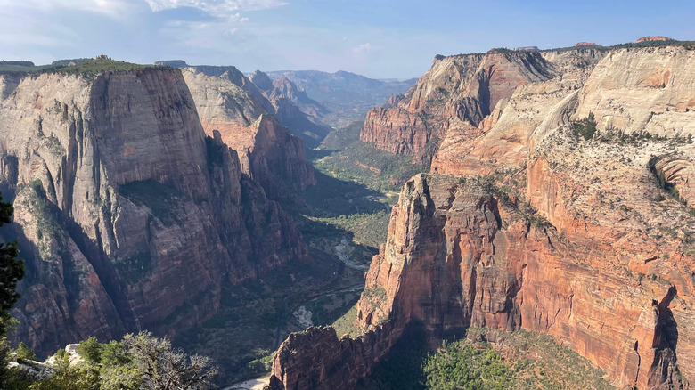 View of the red-rock canyon at Zion National Park in Utah from Observation Point with a blue sky