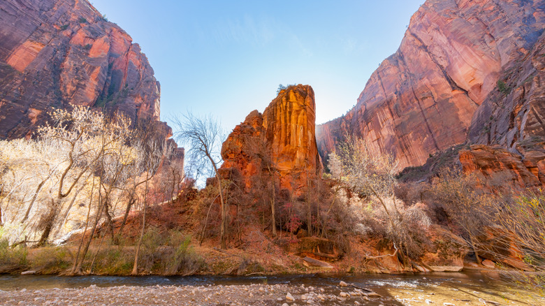 Red rocks, blue sky, and a river at Temple of Sinawava