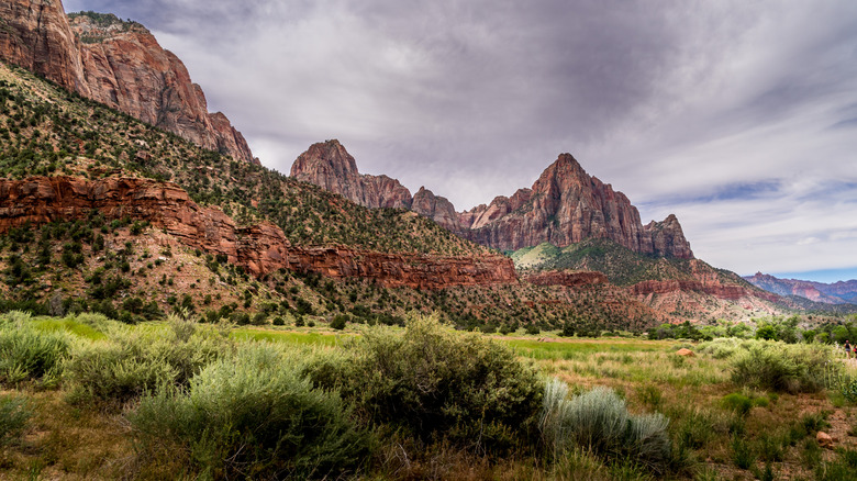 The red mountains near the Pa'rus Trail in Zion tower above a green field and a gray cloudy sky