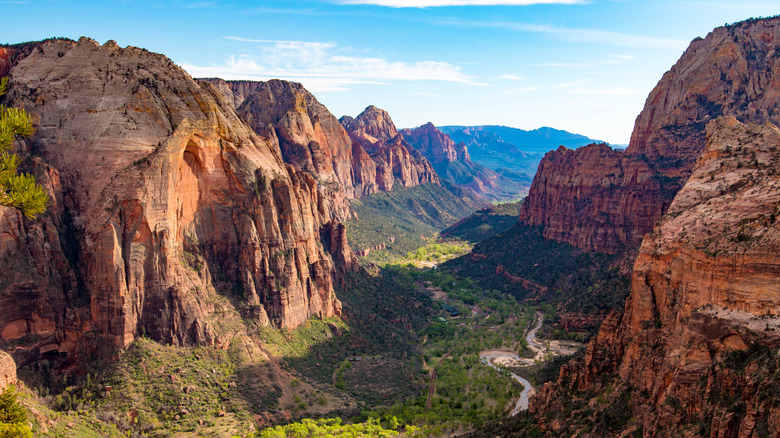 A view of Zion Canyon from the top of Angel's Landing