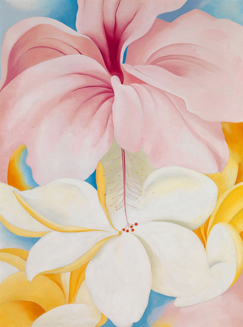 Hibiscus with Plumeria