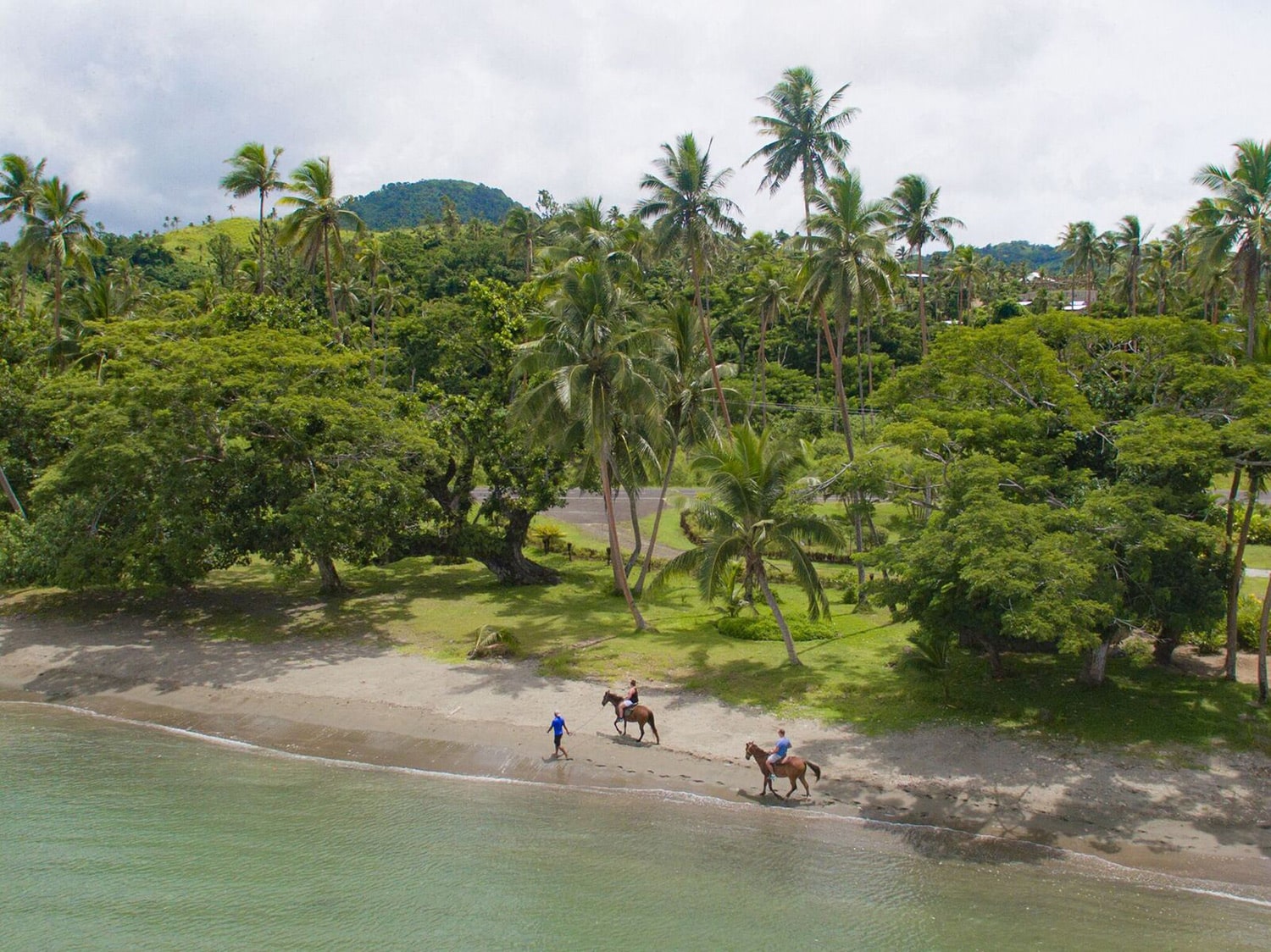 island horses