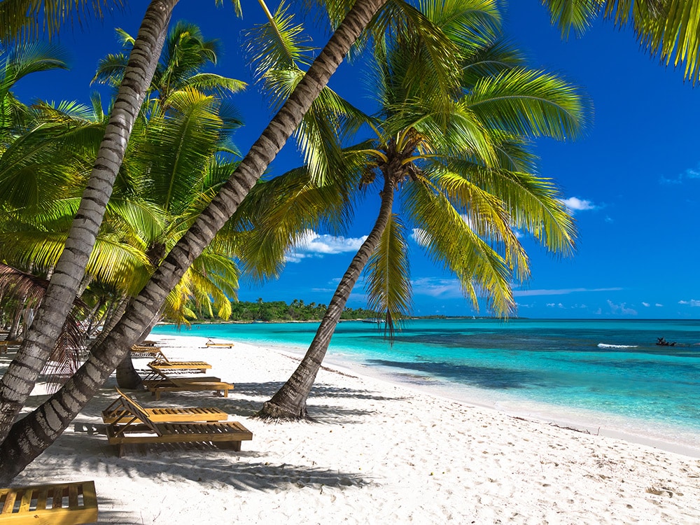 Saona Island Catamaran Tour