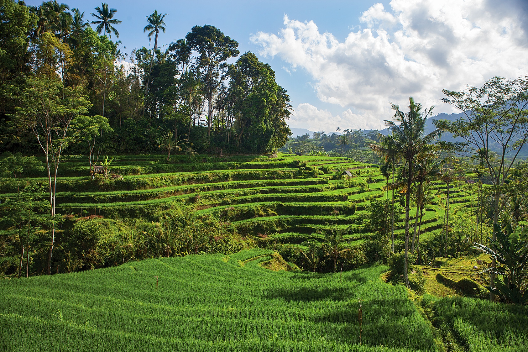Travel to Bali | Island Destinations | Indonesia | Sidemen