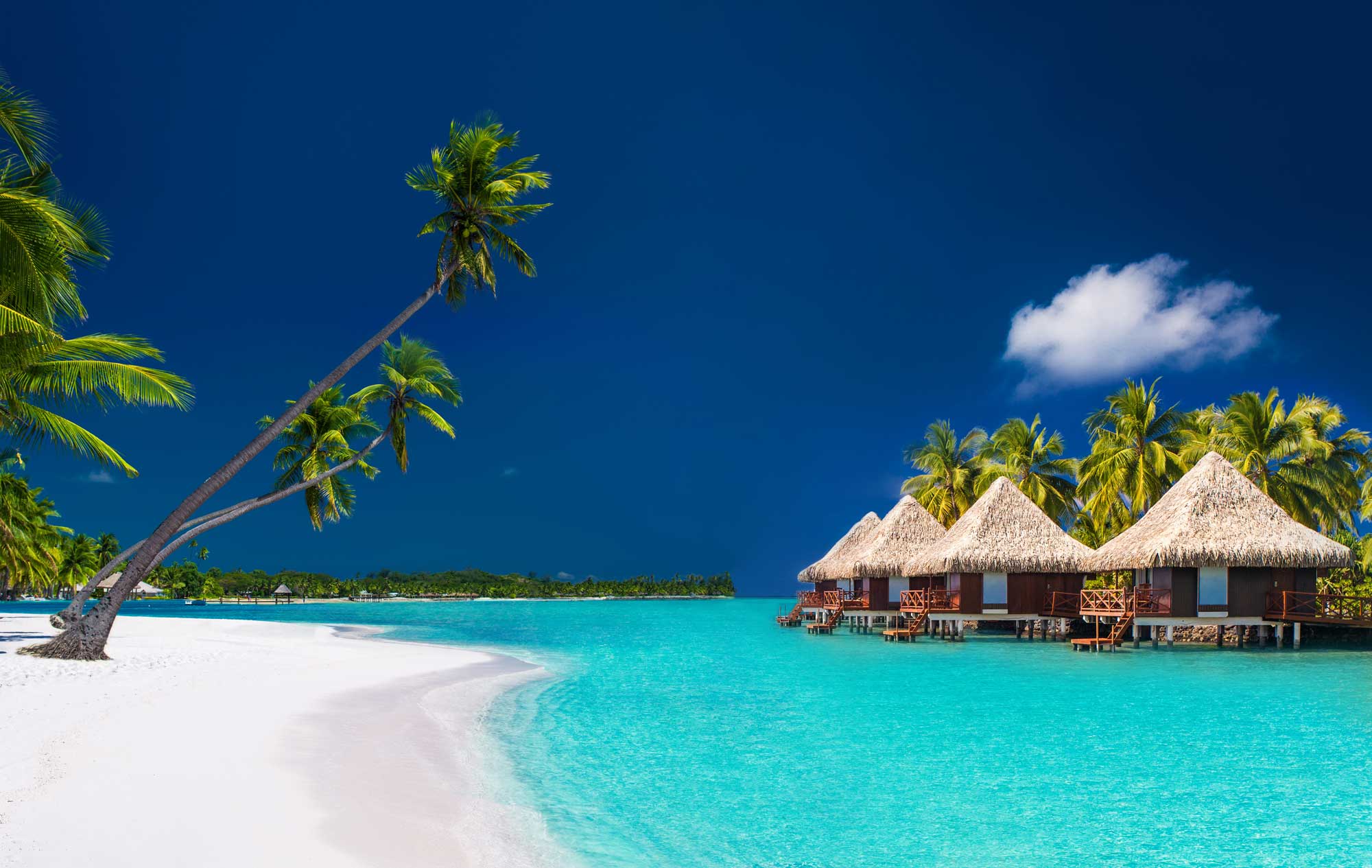 Affordable Honeymoon Packages | Luxury Honeymoon Deals | Best Places to Honeymoon | Four Seasons Bora Bora