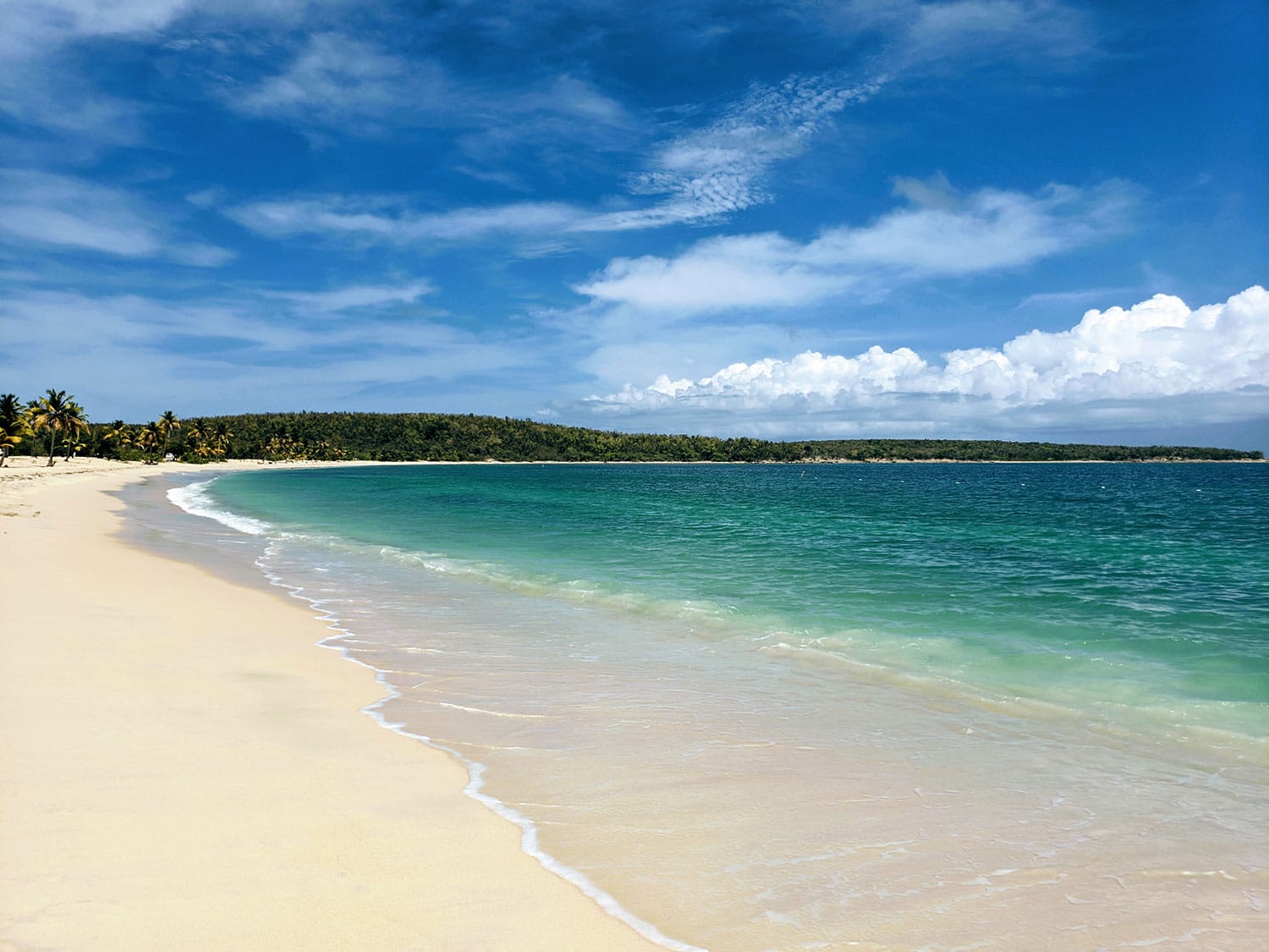 A beach coastline in the Caribbean.