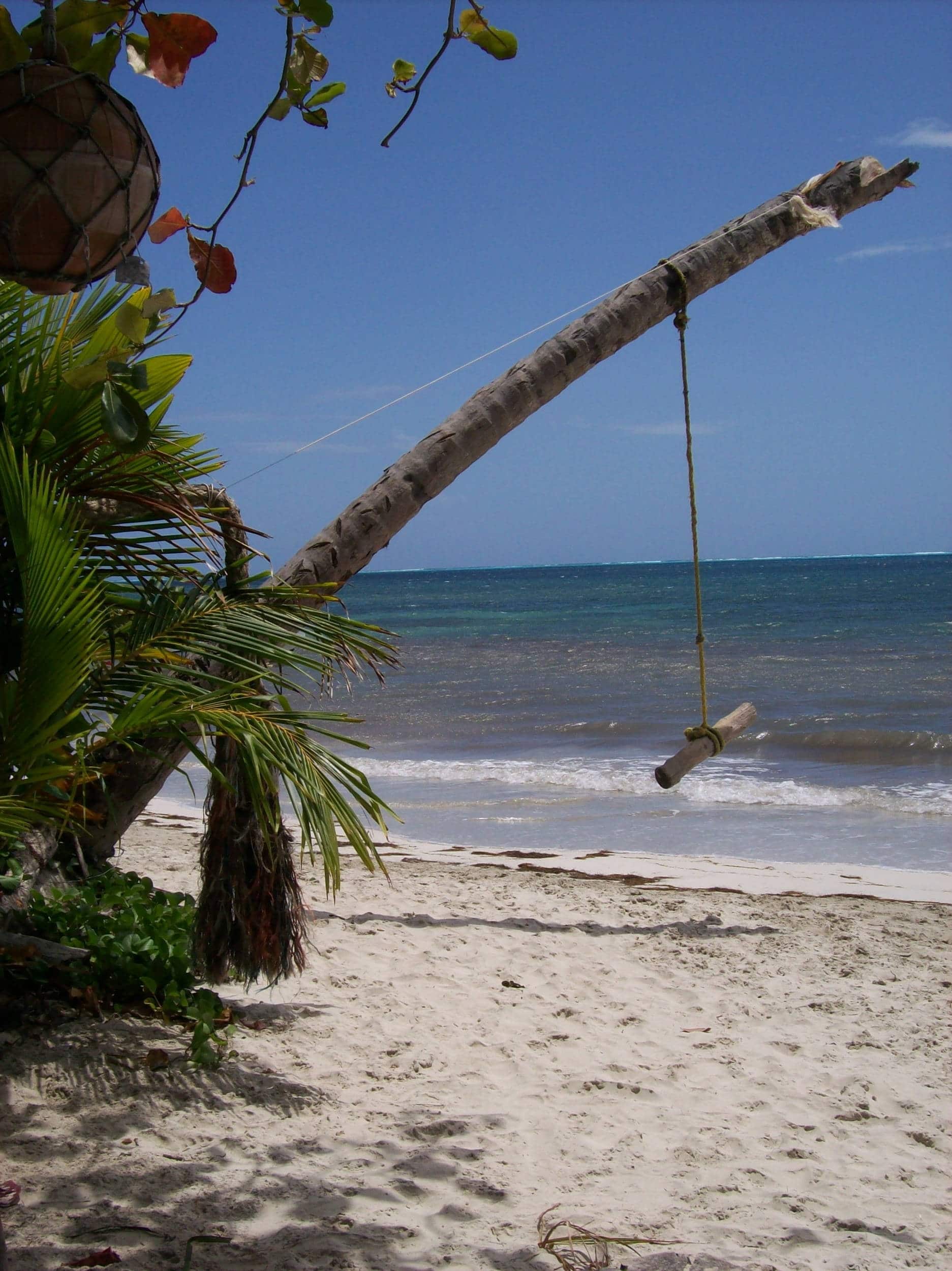 Old Providence Island- Mancheneel Beach