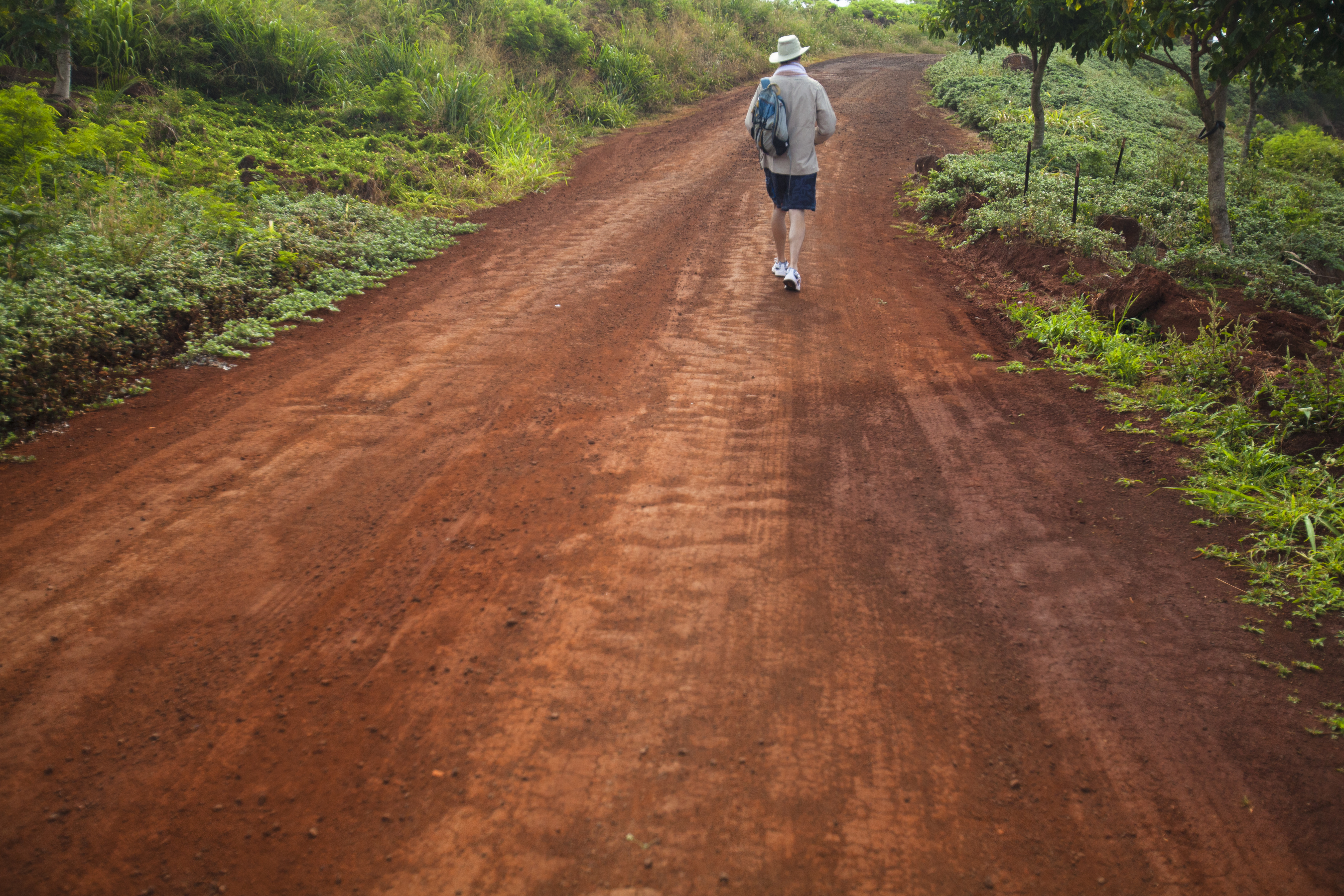 How to move to Kauai | Best Islands to live on Hawaii | Beach Hunting