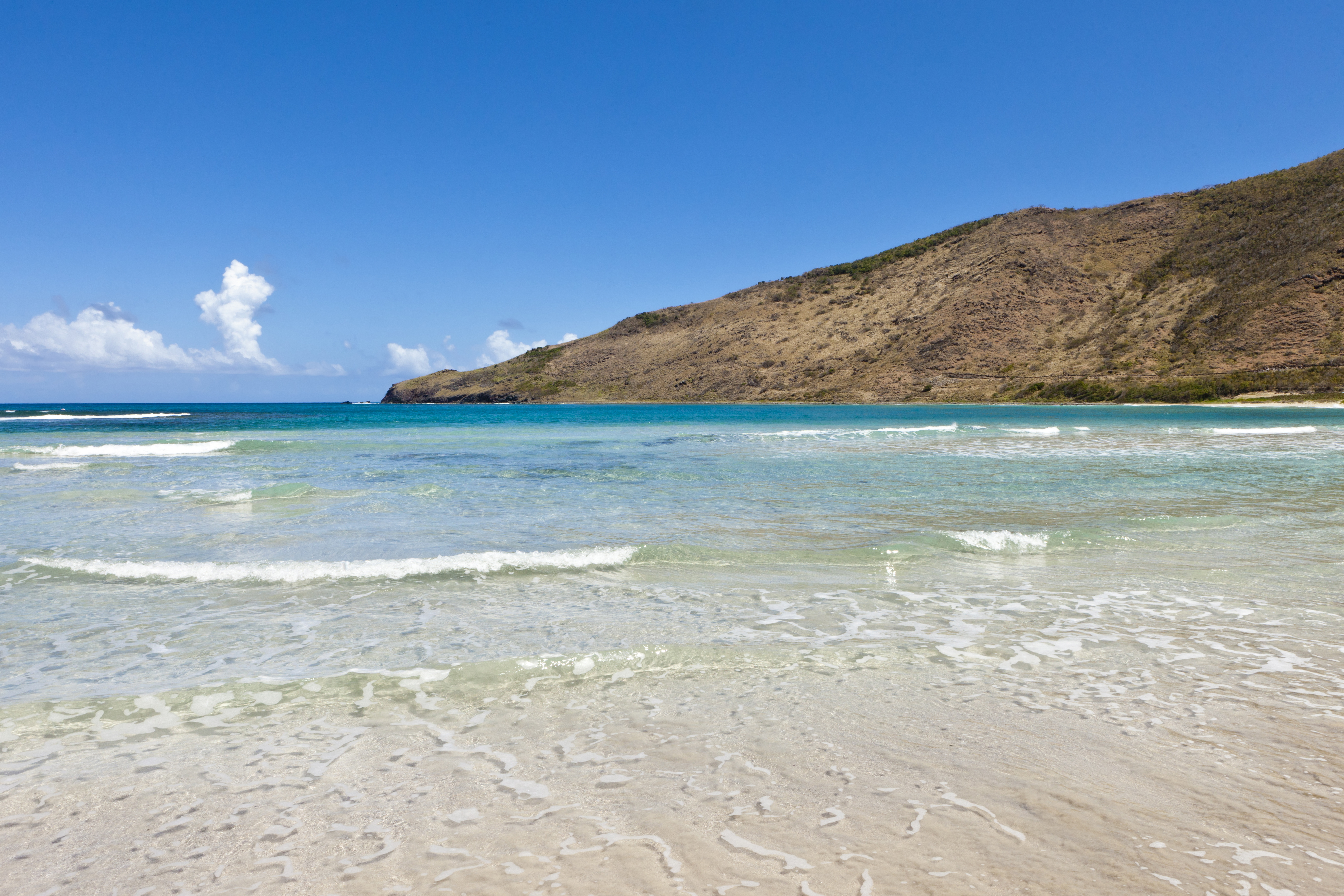 Things to Do in Nevis Based on Alexander Hamilton: Snorkel trip to St. Kitts