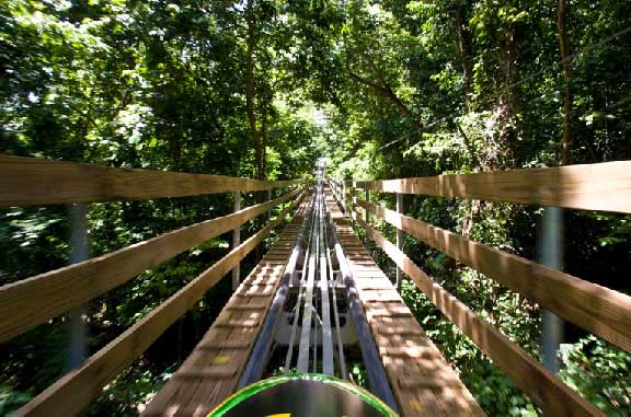 Jamaica's Best All-Inclusive Family Resort: Jungle Bobsledding