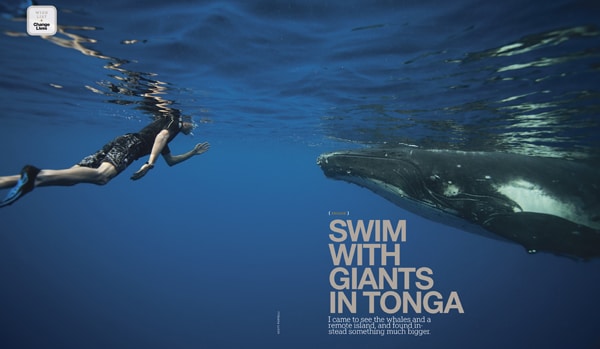 41 travel bucket list snorkel with tonga whales