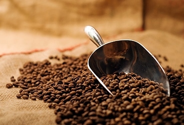 Bali_coffee_main3_03.jpg