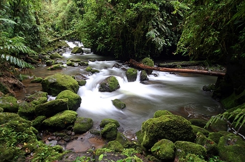 Costa_Rica_gallery08_02_03.jpg