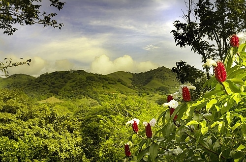 Costa_Rica_gallery08_03_03.jpg