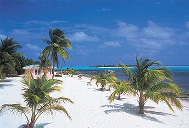 Little Cayman Island