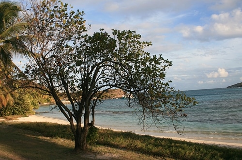 Grenadines: Most recent trip to Petit St. Vincent in 2008