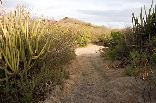 Grenadines: Most recent trip to Petit St. Vincent in 2008