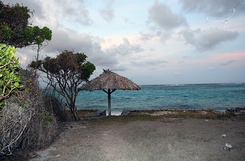 Grenadines: Most recent trip to Petit St. Vincent in 2008