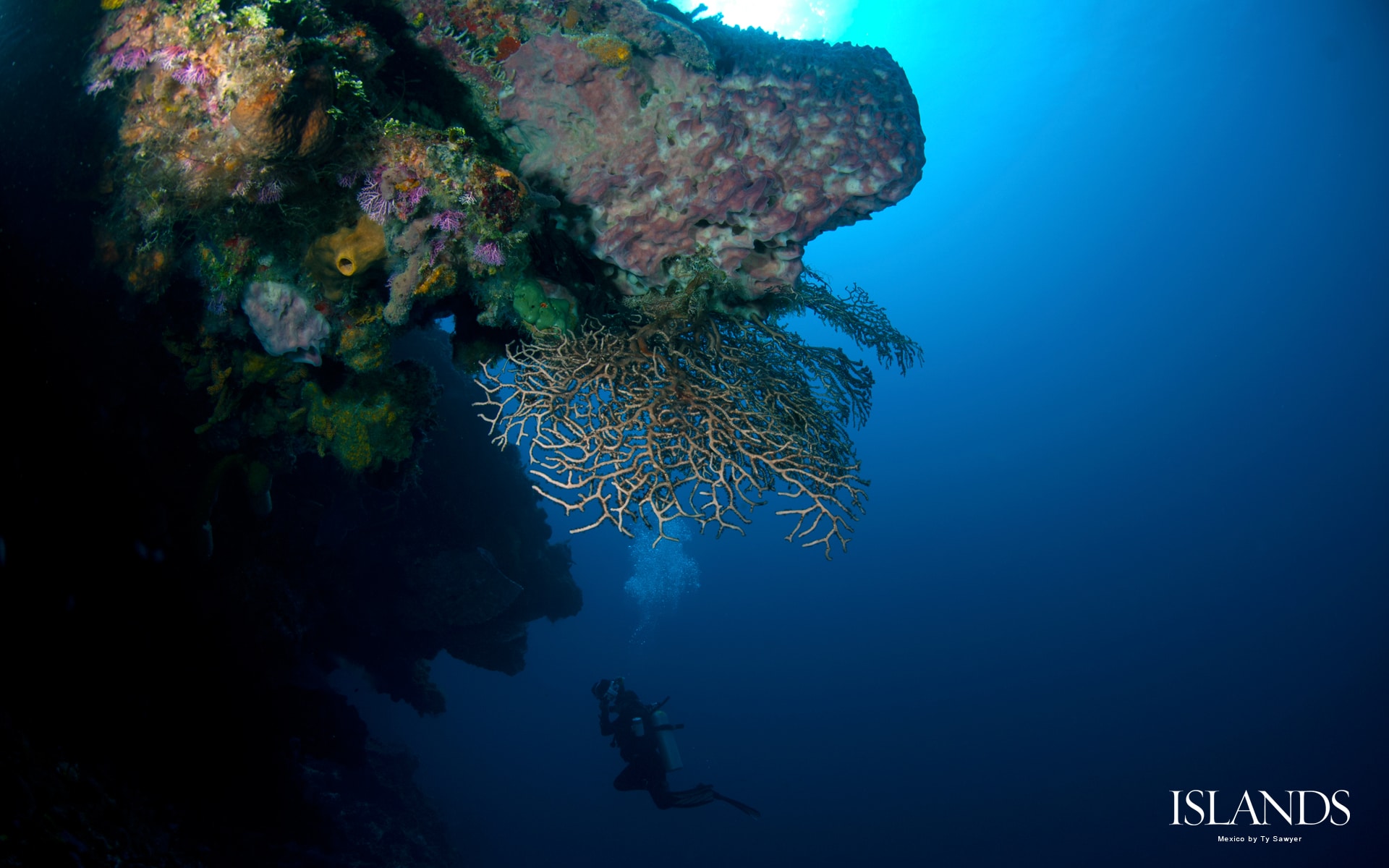 13 desktop wallpaper background mexico scuba diving snorkeling.jpg