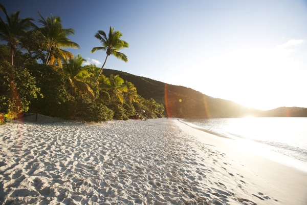 USVI Best Island to Live On St. John Trunk Bay Beach perfect