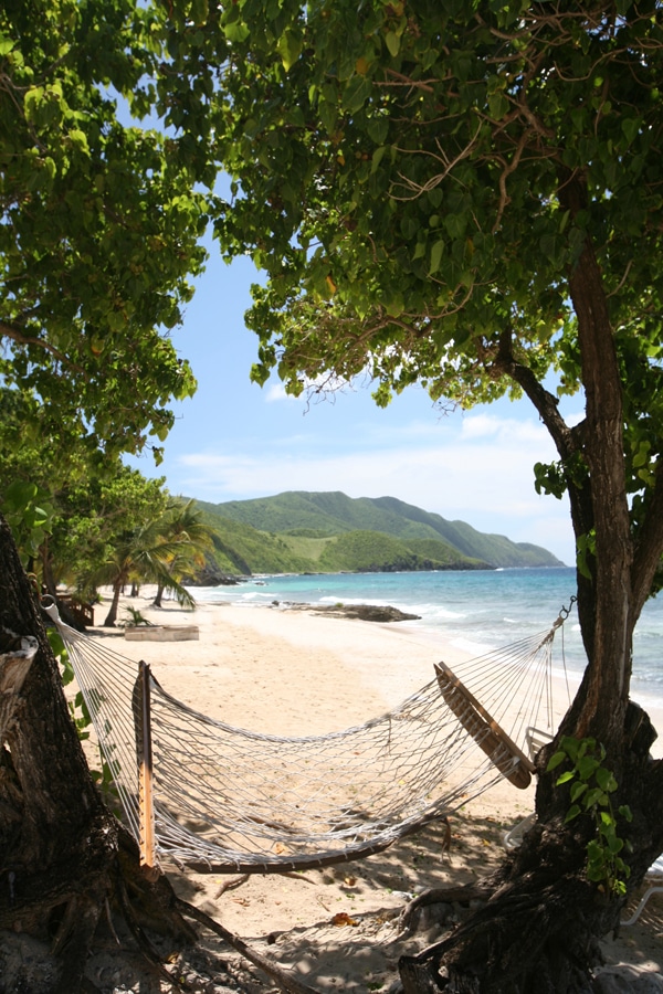 USVI St. Croix Best Islands to Live On Davis Beach hammock
