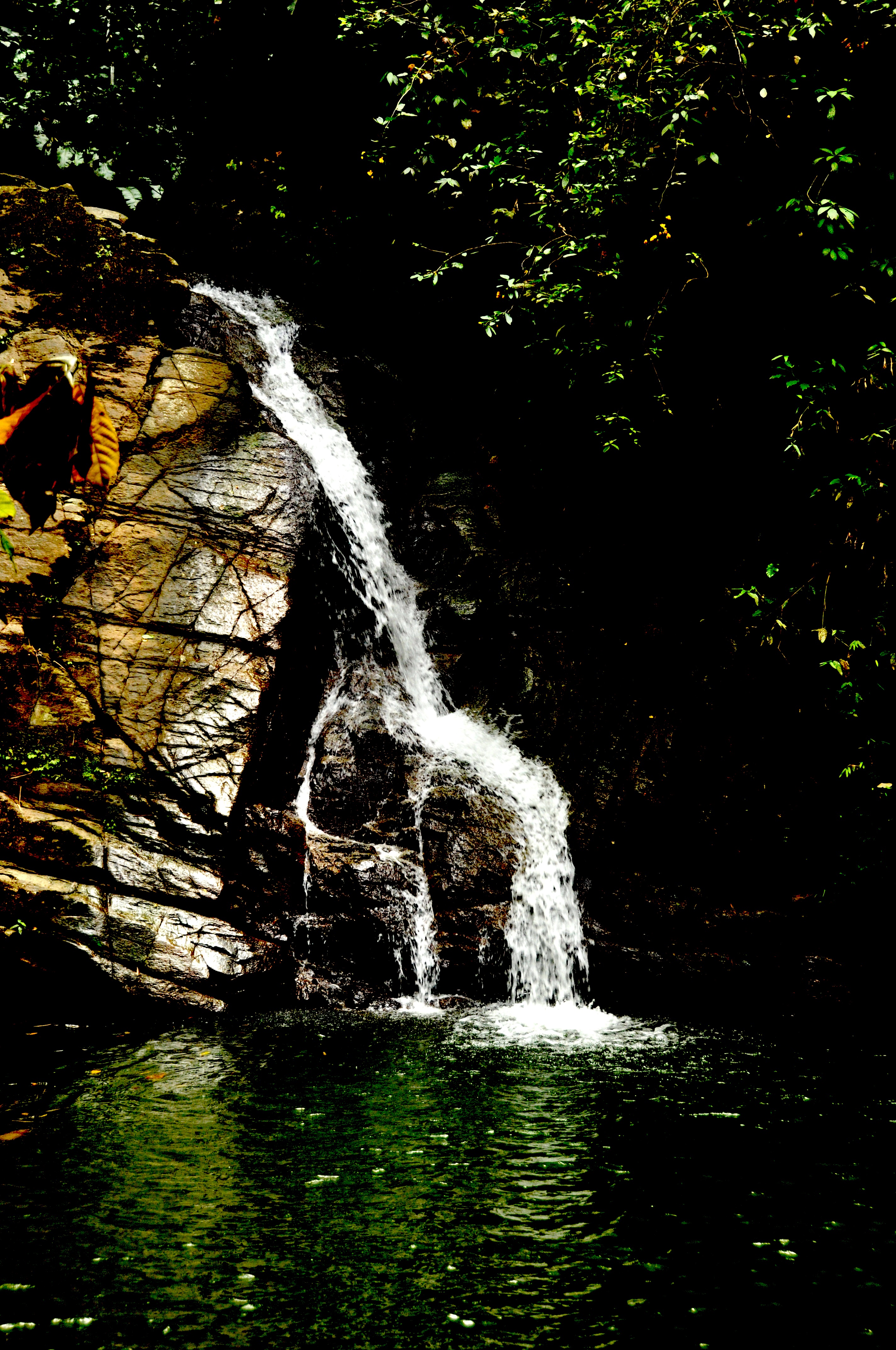 Tempting Tobago: Castara Waterfall