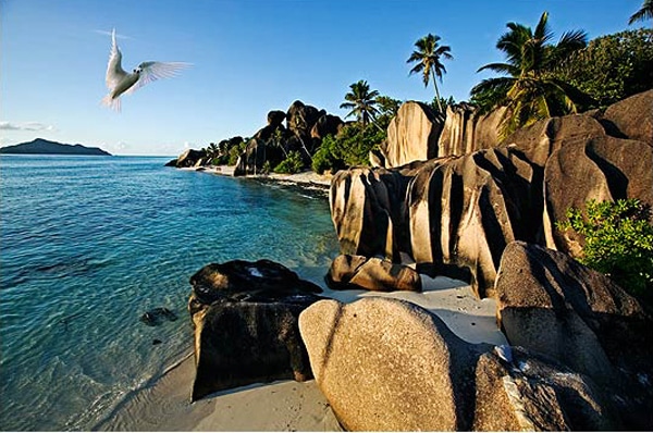 24 seychelles islands wish list