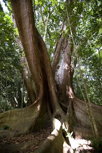 Maui, Hawaii