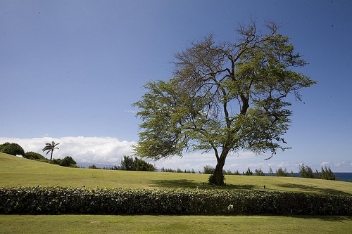 Maui, Hawaii