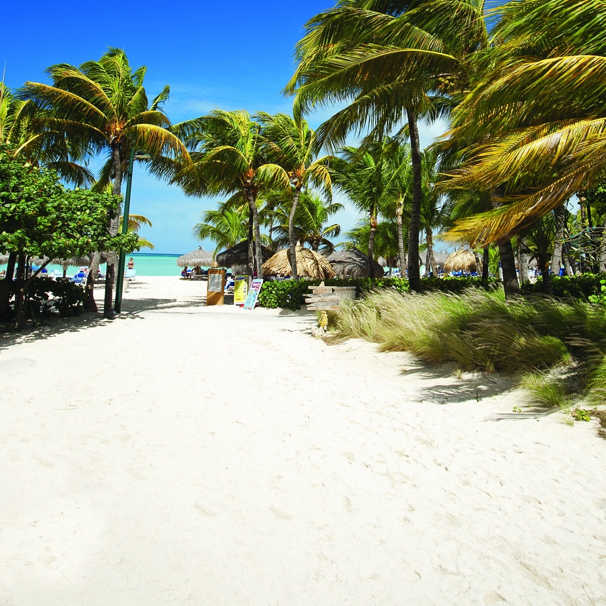 27 cheapest direct flights aruba zs