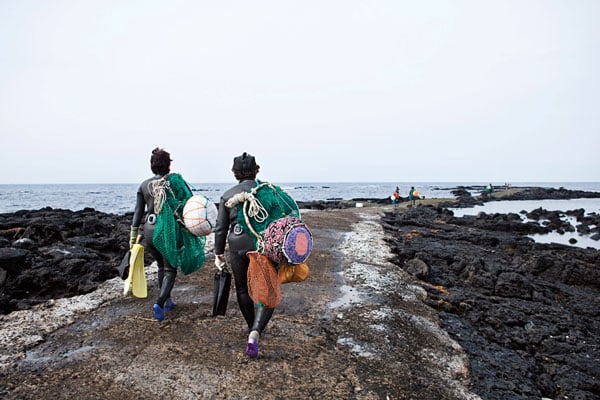 the-mermaids-head-to-the-sea.jpg