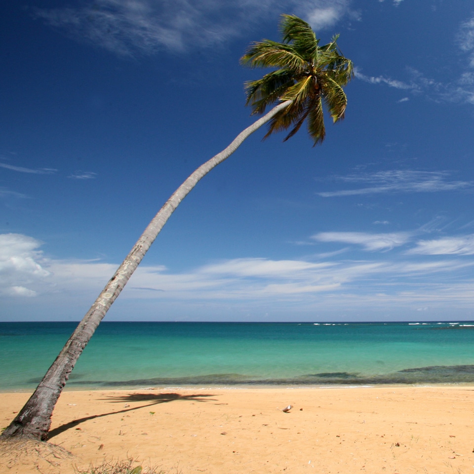 33 cheapest direct flights puerto rico