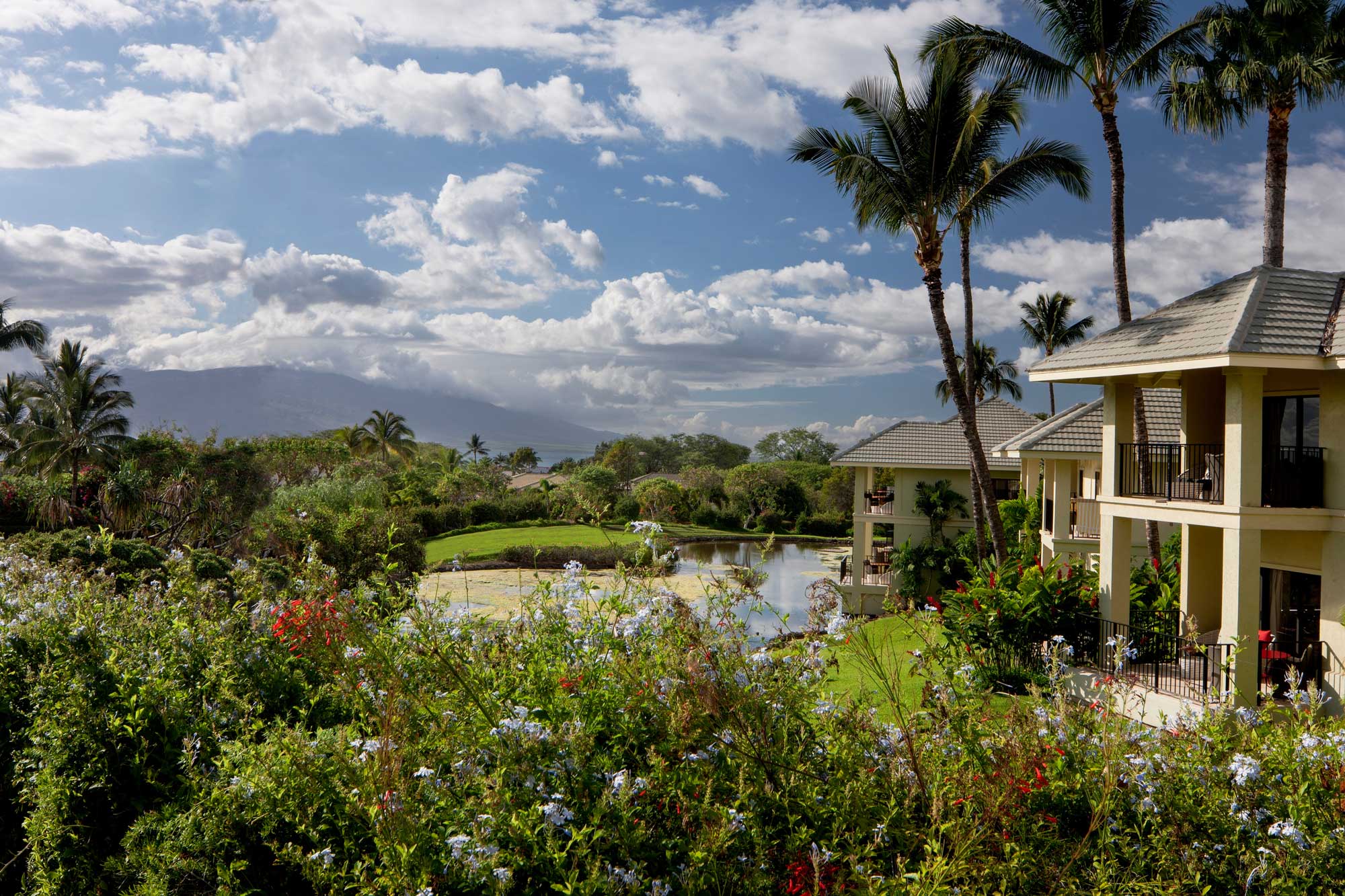 38 Wedding Venues You Have to See | Hotel  Wailea, Maui, Hawaii