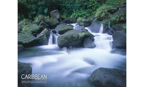 48 ctl-dominica-waterfall-ctl_wp2_1280x1024.jpg